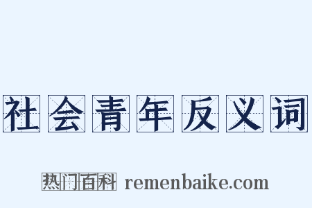 社会青年反义词是什么意思的图片